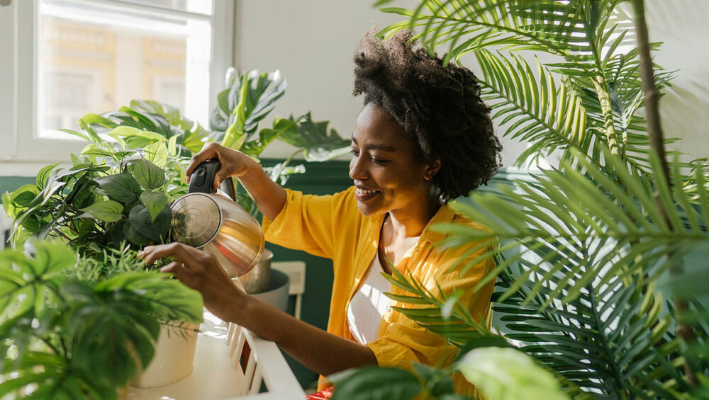 Cuidado com as flores: mitos e verdades